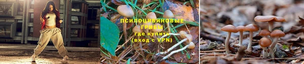 героин Гусь-Хрустальный