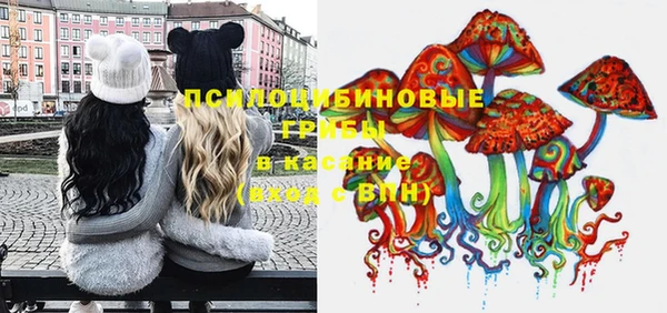 метадон Гусев