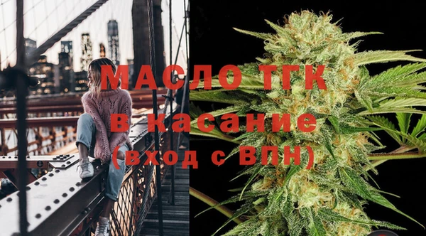 метадон Гусев